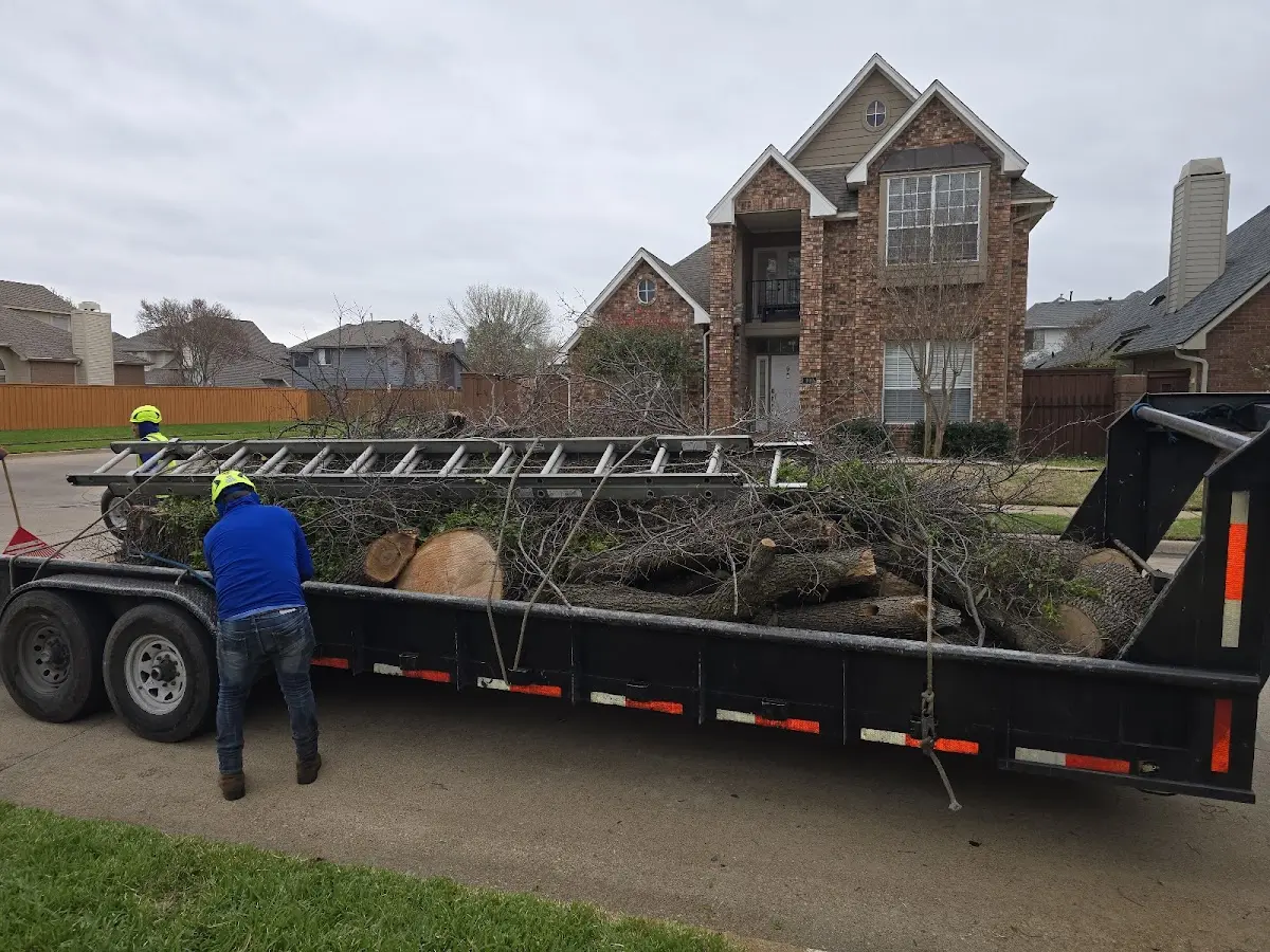 Expert Lot Clearing with proper safety equipment in Elbe